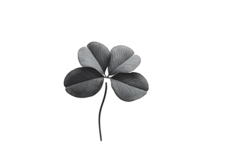 A clover leaf with three small rounded leaflets, fresh and minimal on white