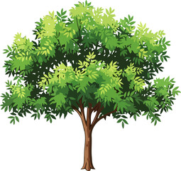 lush green tree natures verdant embrace, symbol of growth and life, isolated on transparent background