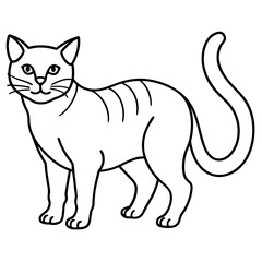 Cat  line Art vector 