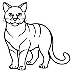 Cat  line Art vector 