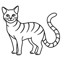 Cat  line Art vector 