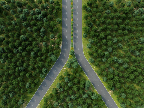 Split road through green forest symbolizing choice and environmental protection