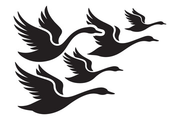 Set of Swan Silhouette, Flying Birds. Vector black silhouette. with white background