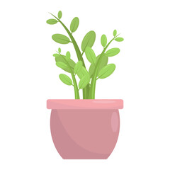 Lush green plant in a pink pot, showcasing vibrant leaves against a white background