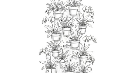 Fototapeta premium Sophisticated monochrome botanical wall illustration featuring potted orchids