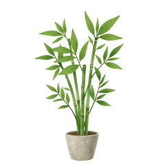 Fototapeta premium Flat botanical illustration of a single bamboo plant in pot isolated on white background with no shadow