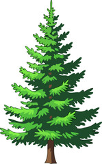 Fototapeta premium evergreen conifer majestic symbol of natures resilience and timeless beauty, isolated on transparent background