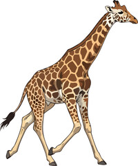 Naklejka premium graceful giraffe in motion a stunning illustration of african wildlife, isolated on transparent background