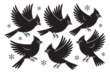Set of Cardinal Birds Silhouette Vector Art. Vector black silhouette. with white background