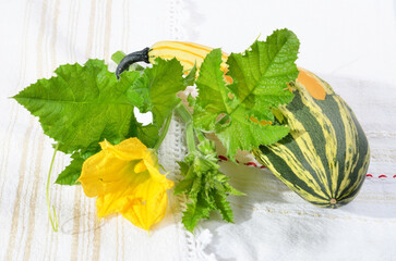 Decorative small pumpkin, green leaves with color, on a table for background.
