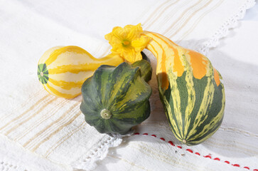 decorative small pumpkin,  with color, on a table for background.