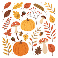 Autumn harvest and forest elements isolated on transparent background