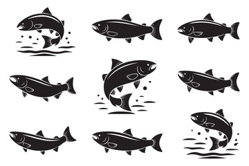 Set of Salmon Fish Silhouette Bundle, Sea life, Fishes Bundle, Animal Icons. Vector black silhouette. with white background