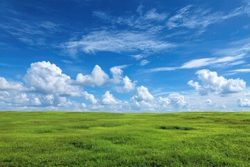 Obraz premium Vast green field under a vibrant blue sky (1)