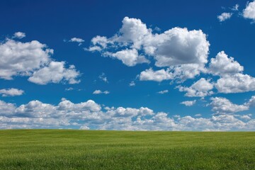 Fototapeta premium Vast green field under a vibrant blue sky with fluffy clouds