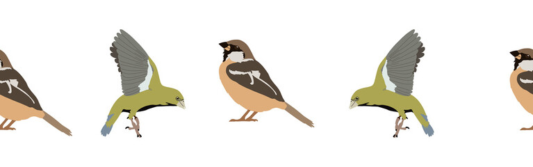 Border icon border. Bird feather silhouette symbol. Bird border isolated on white background