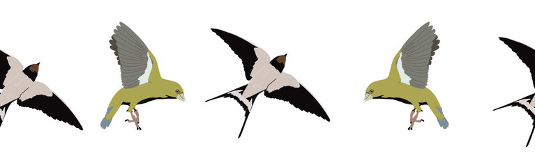 Border icon border. Bird feather silhouette symbol. Bird border isolated on white background