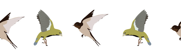 Border icon border. Bird feather silhouette symbol. Bird border isolated on white background