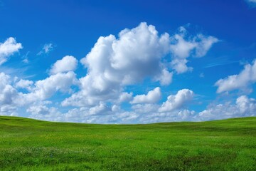 Vast grassy plain under a vibrant blue sky dotted with fluffy white clouds