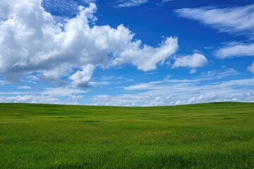 Fototapeta premium Vast green meadow under a vibrant blue sky