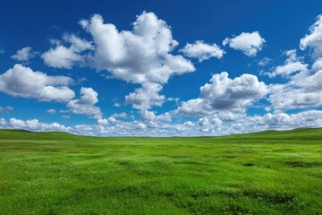 Obraz premium Vast, grassy plain under a vibrant blue sky with puffy white clouds