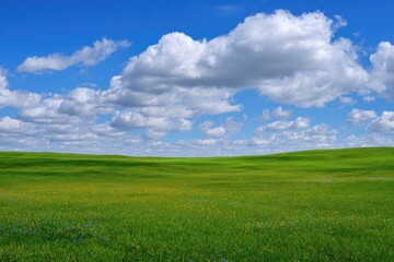 Vast green field under a partly cloudy blue sky