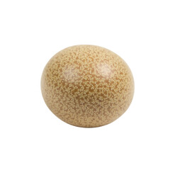 A detailed, round decorative object displays a subtle, textured pattern of small, light-colored dots on a light beige background.