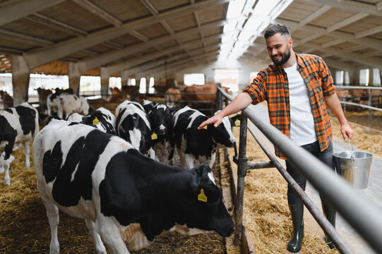 Farmer holding bucket taking care of cows in barn - Powered by Adobe