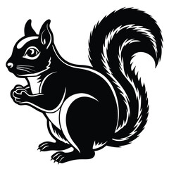 squirrel  vector icon