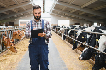 Farmer taking notes on milk production of jersey and holstein cows in barn © Serhii