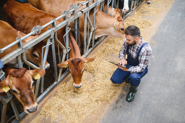 Farmer using digital tablet while monitoring cows in barn © Serhii