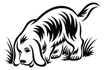 hound digs into grass, exploring with an intent focus