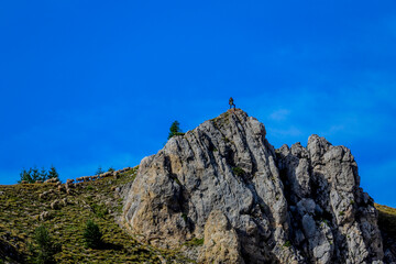 Le berger des millefonts