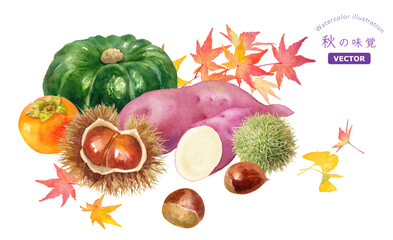 秋の収穫物を集めた水彩イラスト。柿、栗、サツマイモ、カボチャと紅葉した葉。（ベクター。レイアウト変更可能）
