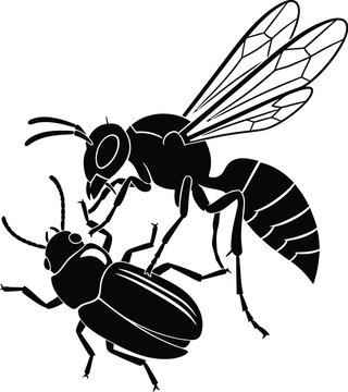 black wasp attacking beetle clip art preview