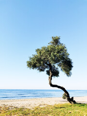 Cambrils Beach 