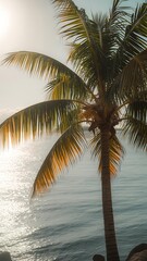 Close-up of a lush green palm tree swaying gently against a bright sky over a calm ocean during a warm summer day.
