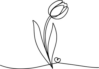Elegant single line drawing of a tulip with leaves and a heart detail flower minimalist