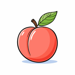 peach fresh organic peach isolated white background peach macro ,illustration vector