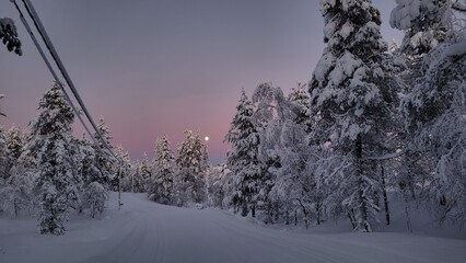 A pink evening on the cross-country ski tracks
