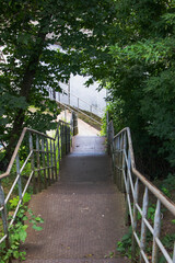 Stairway through lush greenery leading down to a tranquil path in a quiet urban area