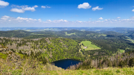 Obraz premium A scenic view of Feldsee on the Felberg peak in the Black Forest, Germany
