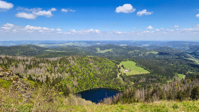 A scenic view of Feldsee on the Felberg peak in the Black Forest, Germany