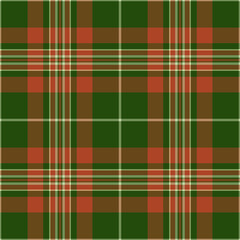 Classic plaid pattern with green, orange,  beige. A timeless textile design, perfect for backgrounds, apparel,  festive projects. Versatile  stylish.