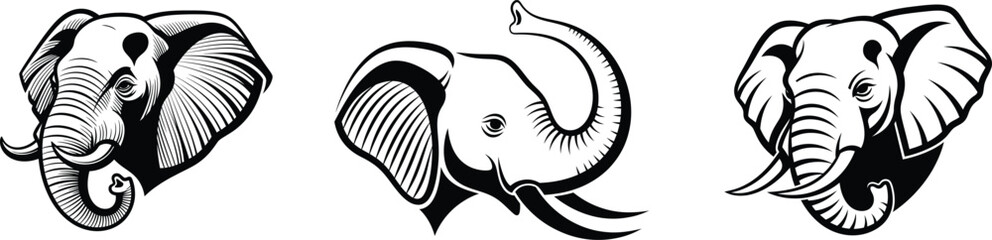 Captivating monochrome drawings of majestic elephants displaying their beautiful curved tusks and ears © sehrish