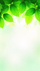Obraz premium Vibrant Green Canopy of Lush Leaves Perfect Springtime Background for Nature, Growth, and Environmental Projects