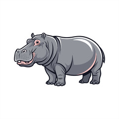 hippopotamus isolated on white background