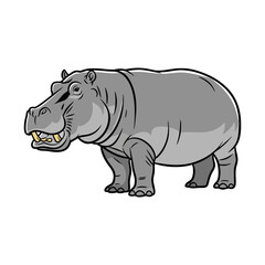 hippopotamus vector illustration on white background