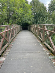 The tranquil footbridge over a peaceful path in a vibrant, green park.