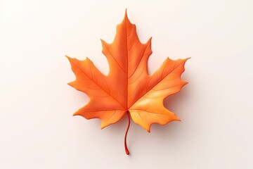 Obraz premium Leaf autumn maple plant.
